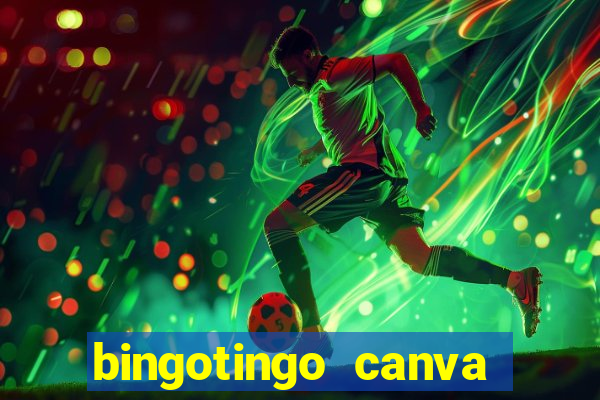 bingotingo canva pro gratis